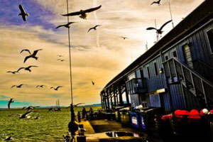 智能代码生成的网页攻击平台